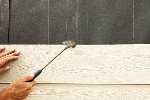 Best Fascia and Soffit Installation  in Peculiar, MO